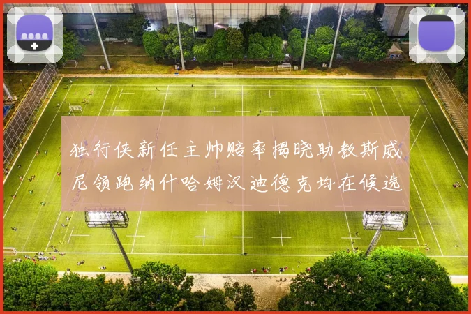 独行侠新任主帅赔率揭晓助教斯威尼领跑纳什哈姆汉迪德克均在候选之中